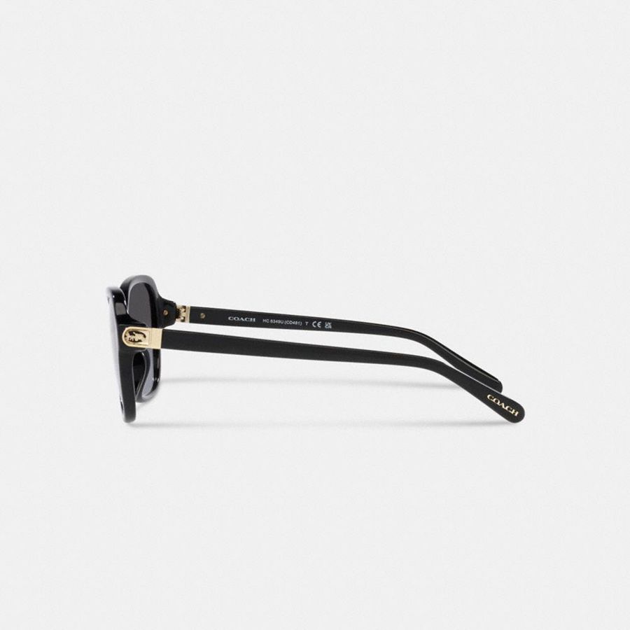 Óculos de Sol COACH Hinged Horse And Carriage Square Feminino Pretas | 21589TDVH