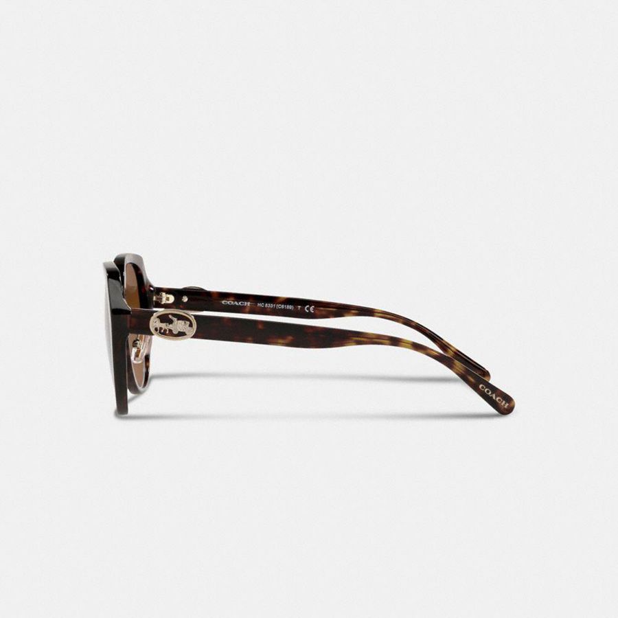 Óculos de Sol COACH Horse And Carriage Oversized Round Feminino Marrom | 75389ZXBK