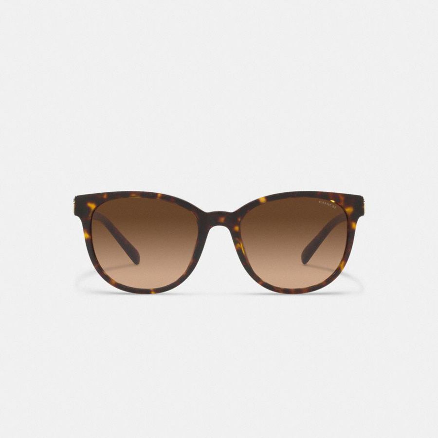 Óculos de Sol COACH Horse And Carriage Round Feminino Marrom | 62493WMYO