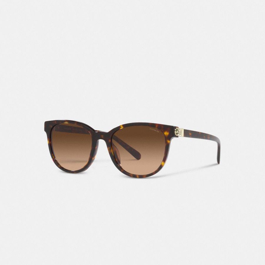 Óculos de Sol COACH Horse And Carriage Round Feminino Marrom | 62493WMYO