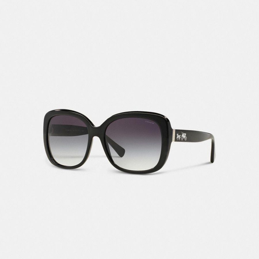 Óculos de Sol COACH Horse And Carriage Square Feminino Pretas | 12638TOBD