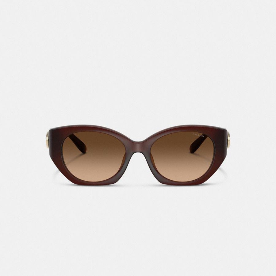 Óculos de Sol COACH Idol Oval Feminino Marrom | 67591DXCM