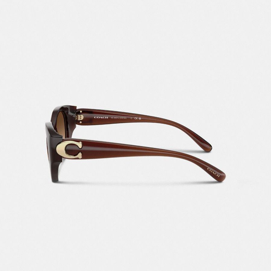 Óculos de Sol COACH Idol Oval Feminino Marrom | 67591DXCM