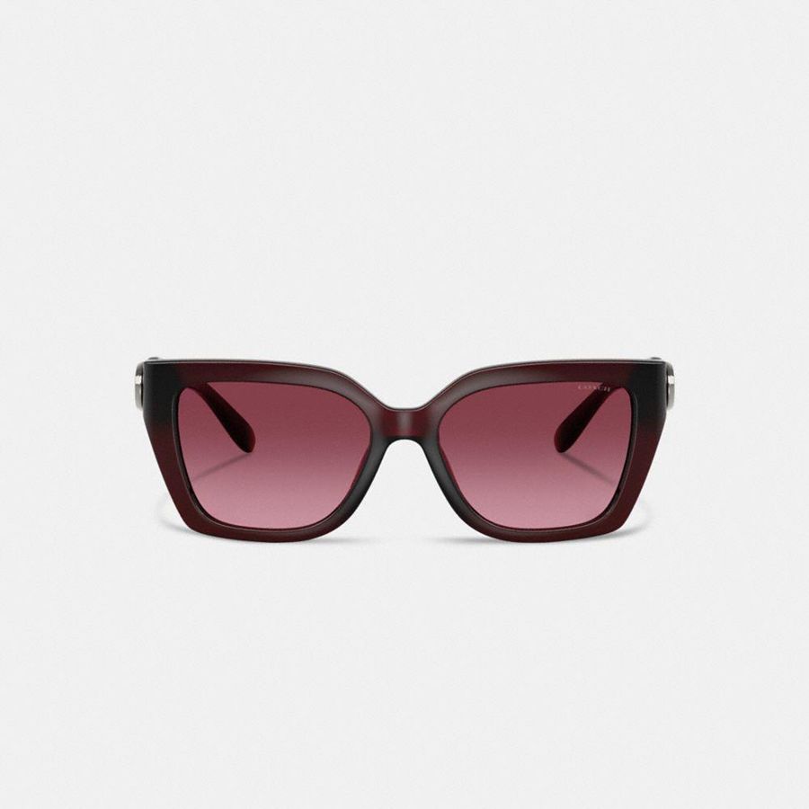 Óculos de Sol COACH Idol Square Cat Eye Feminino Rosa | 08652ENBZ