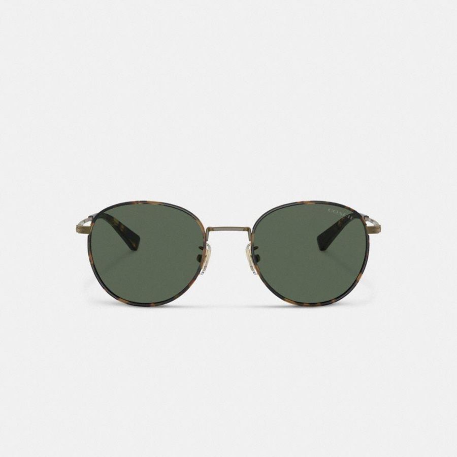 Óculos de Sol COACH Metal Windsor Round Masculino Verdes | 87635PRYL