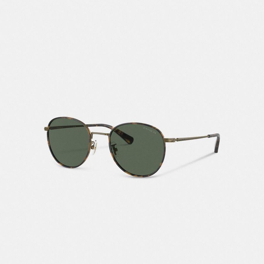 Óculos de Sol COACH Metal Windsor Round Masculino Verdes | 87635PRYL