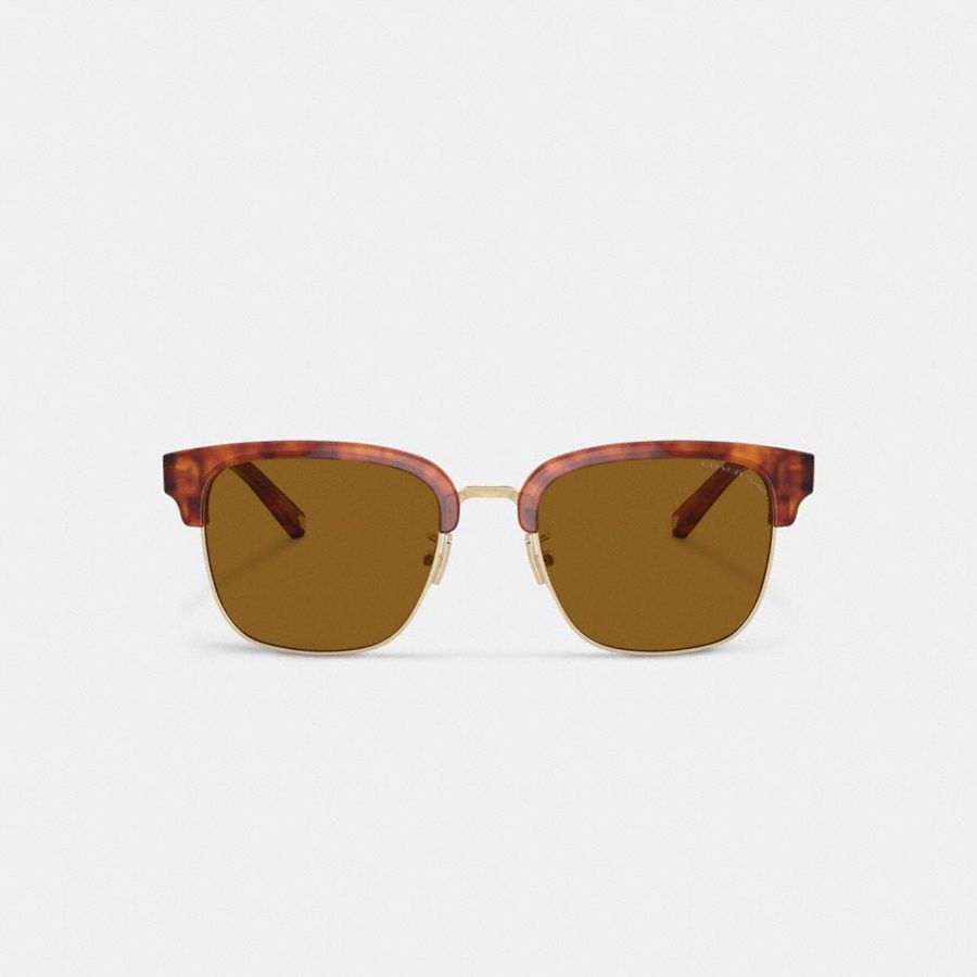Óculos de Sol COACH Retro Masculino Marrom | 76092LVQI