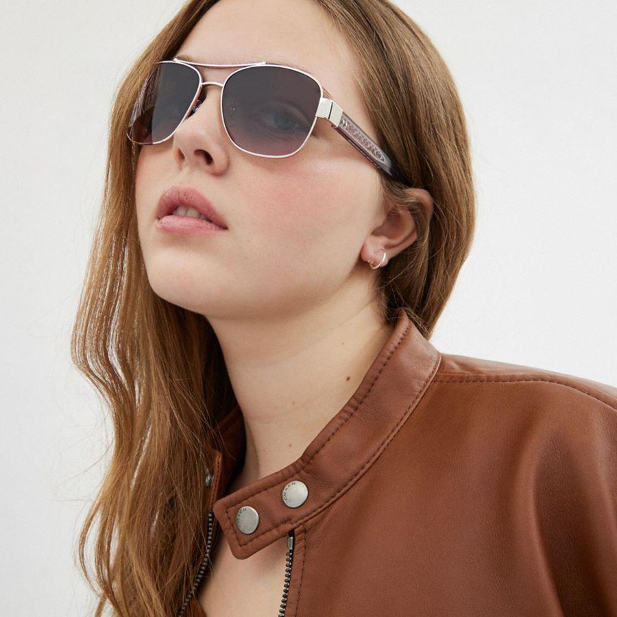 Óculos de Sol COACH Signature Ombré Narrow Pilot Feminino Cinzentas | 90258WDFQ