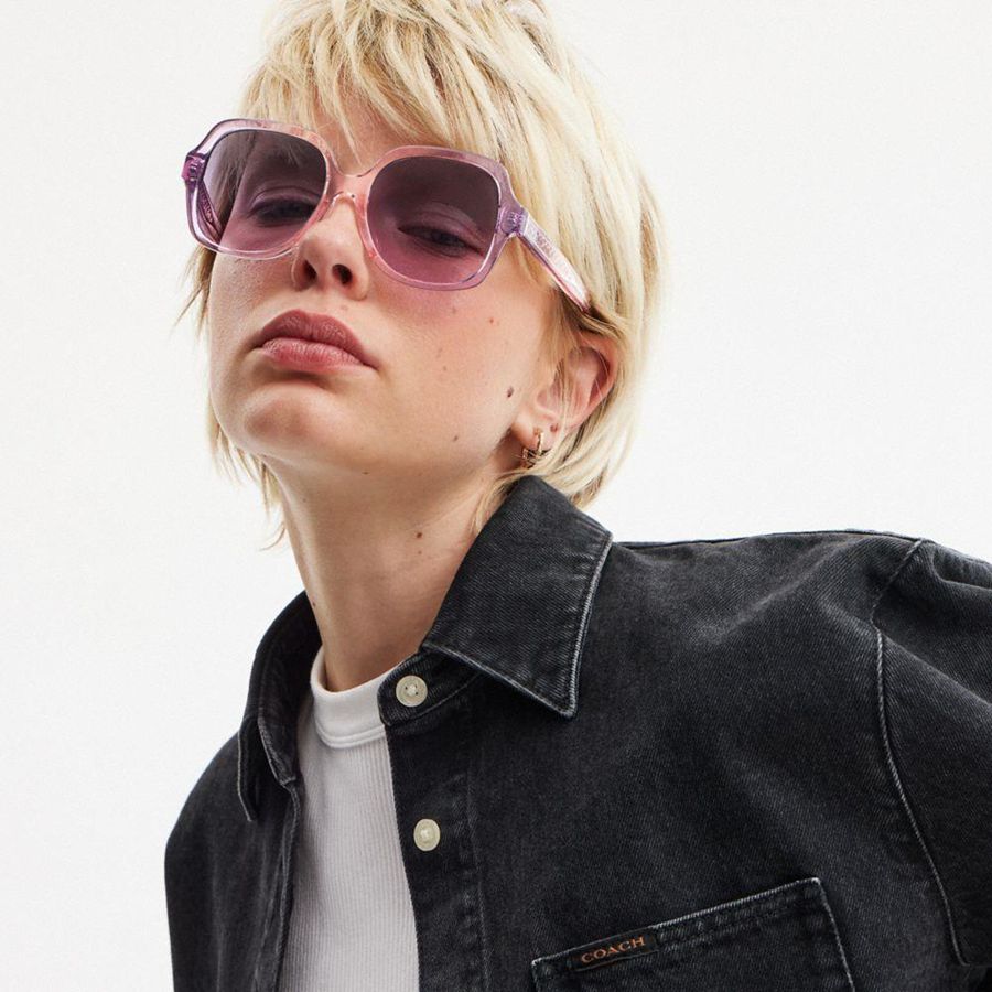 Óculos de Sol COACH Signature Ombré Oversized Square Feminino Rosa | 89514SUJD