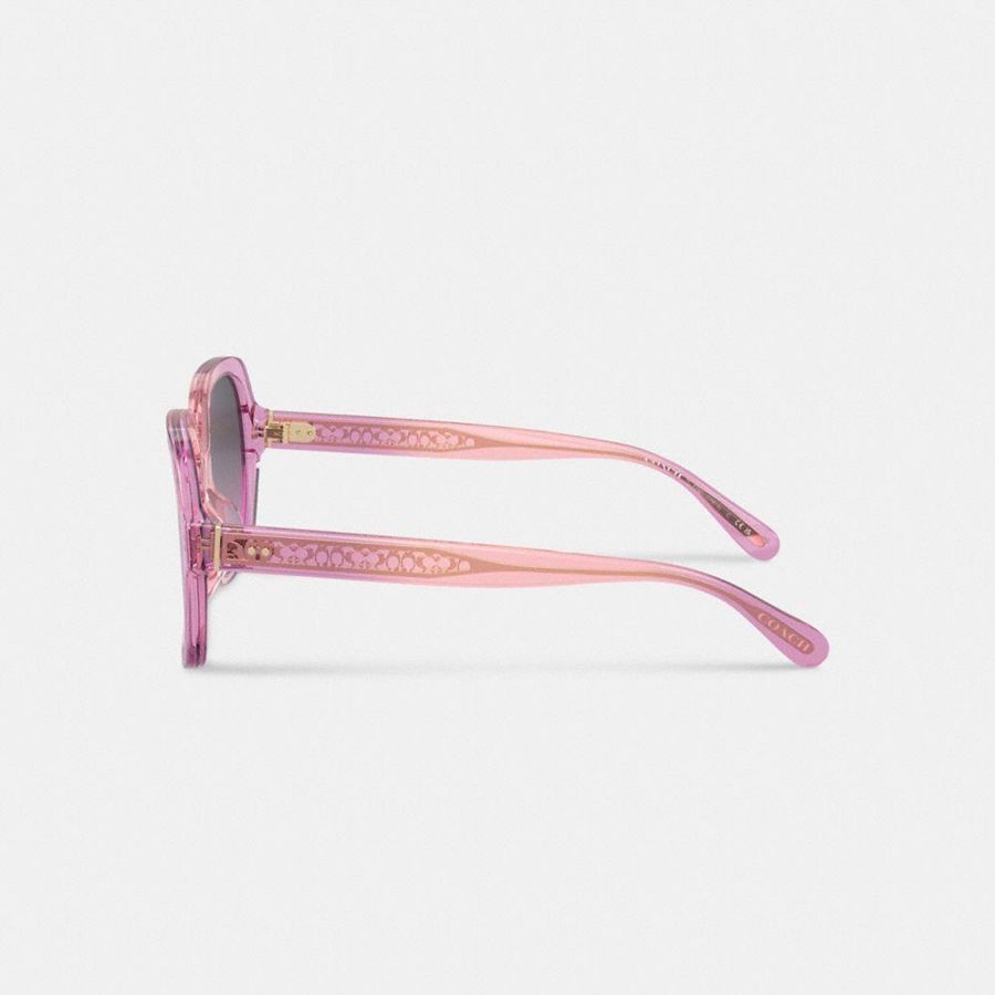 Óculos de Sol COACH Signature Ombré Oversized Square Feminino Rosa | 89514SUJD