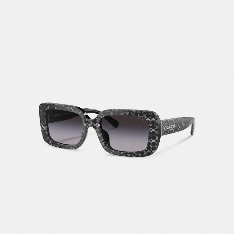 Óculos de Sol COACH Signature Oversized Rectangle Feminino Pretas | 04567PKFN