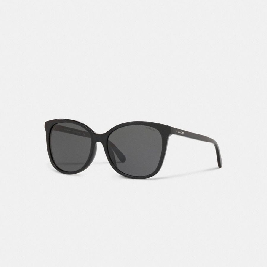 Óculos de Sol COACH Signature Workmark Square Feminino Pretas | 09751BIKW