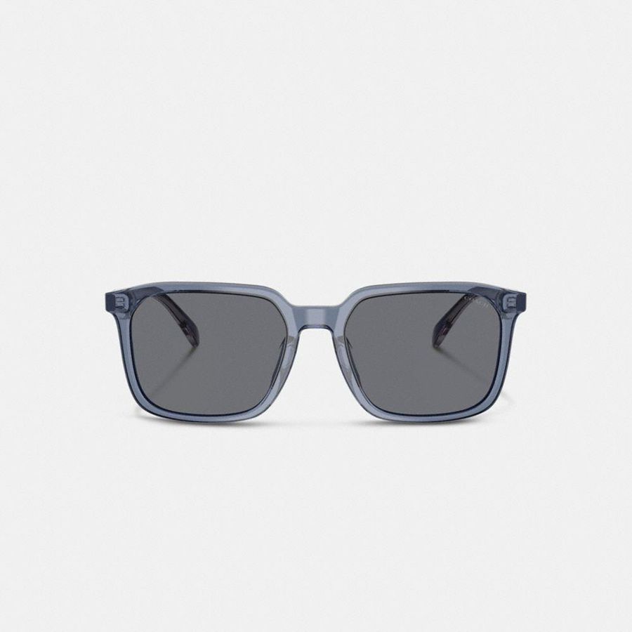 Óculos de Sol COACH Thin Square Masculino Cinzentas | 09374DZQC