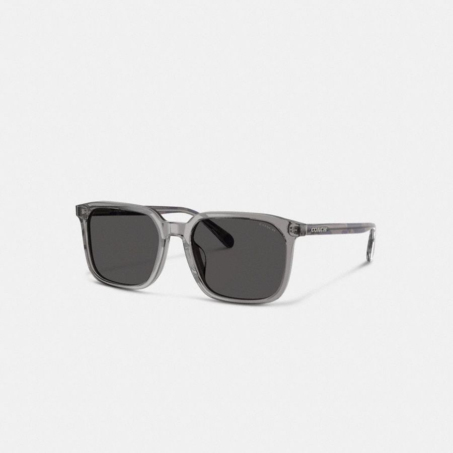 Óculos de Sol COACH Thin Square Masculino Cinzentas | 09374DZQC