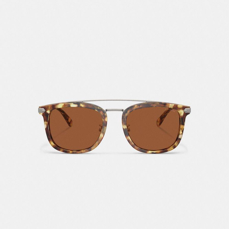 Óculos de Sol COACH Wrap Around Hangtag Browbar Masculino Marrom | 61042VLXZ