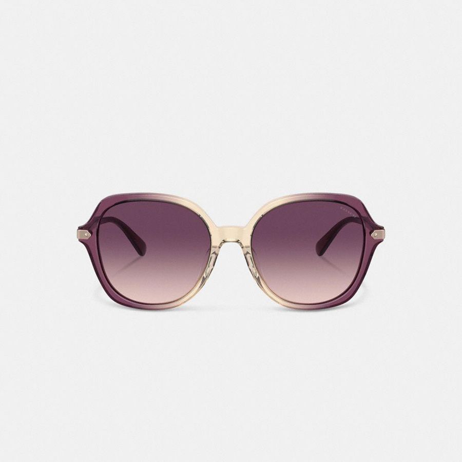 Óculos de Sol COACH Wrap Around Hangtag Oversized Geometric Round Feminino Roxo | 37689UAPQ