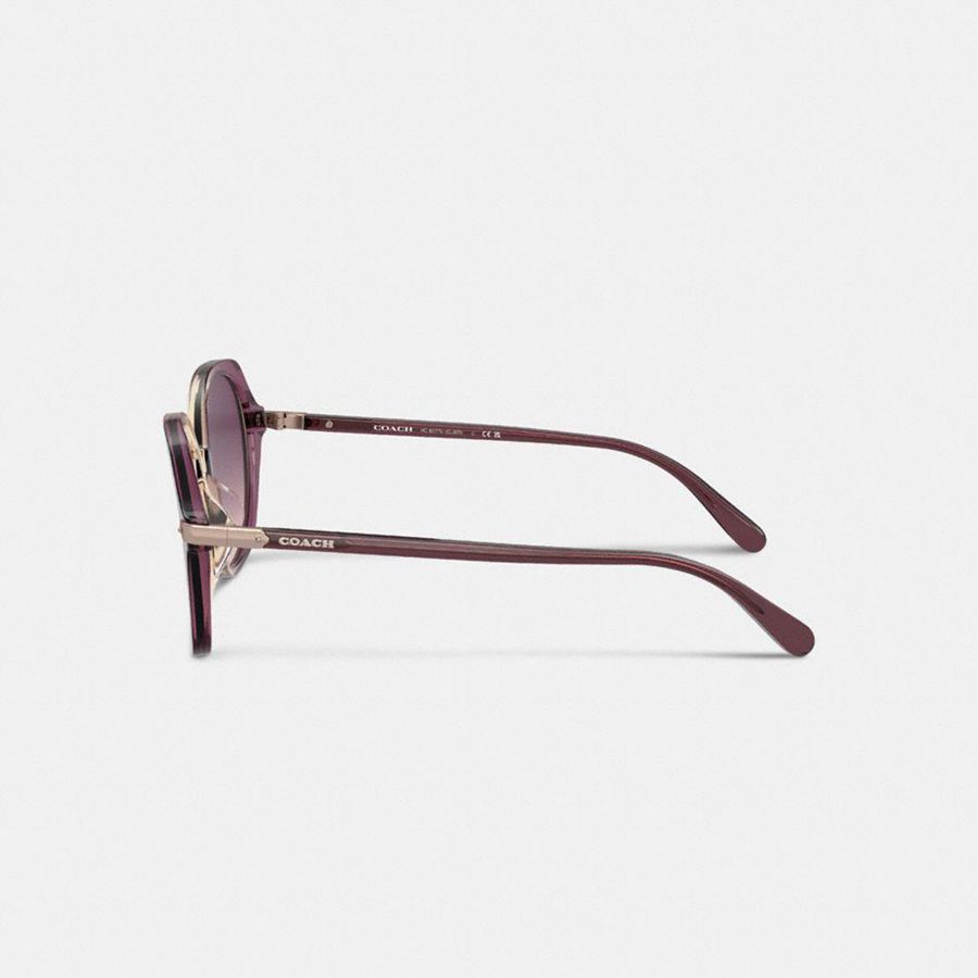 Óculos de Sol COACH Wrap Around Hangtag Oversized Geometric Round Feminino Roxo | 37689UAPQ